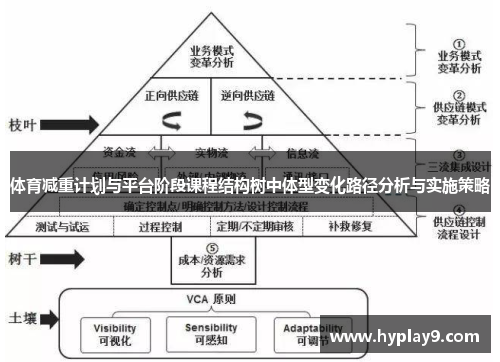 体育减重计划与平台阶段课程结构树中体型变化路径分析与实施策略