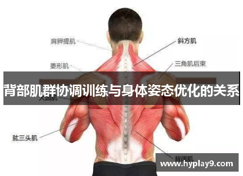 背部肌群协调训练与身体姿态优化的关系