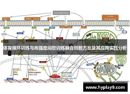 体育循环训练与高强度间歇训练融合创新方案及其应用实践分析